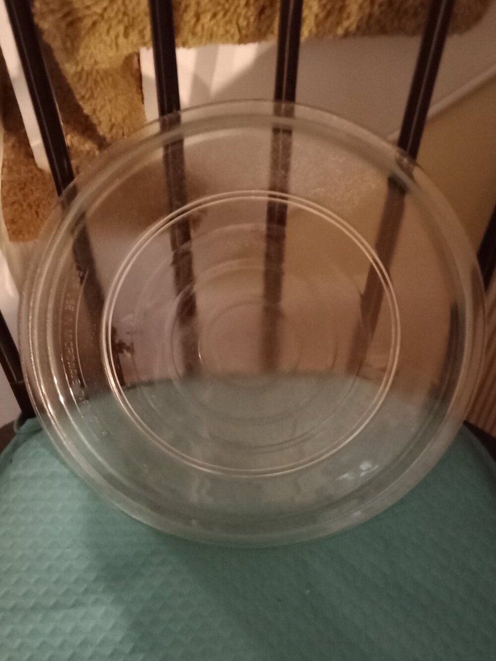 Microwave Plate Replacement